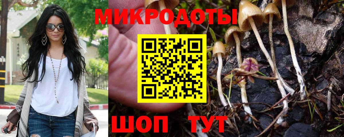 Галлюциногенные грибы GOLDEN TEACHER Старая Купавна