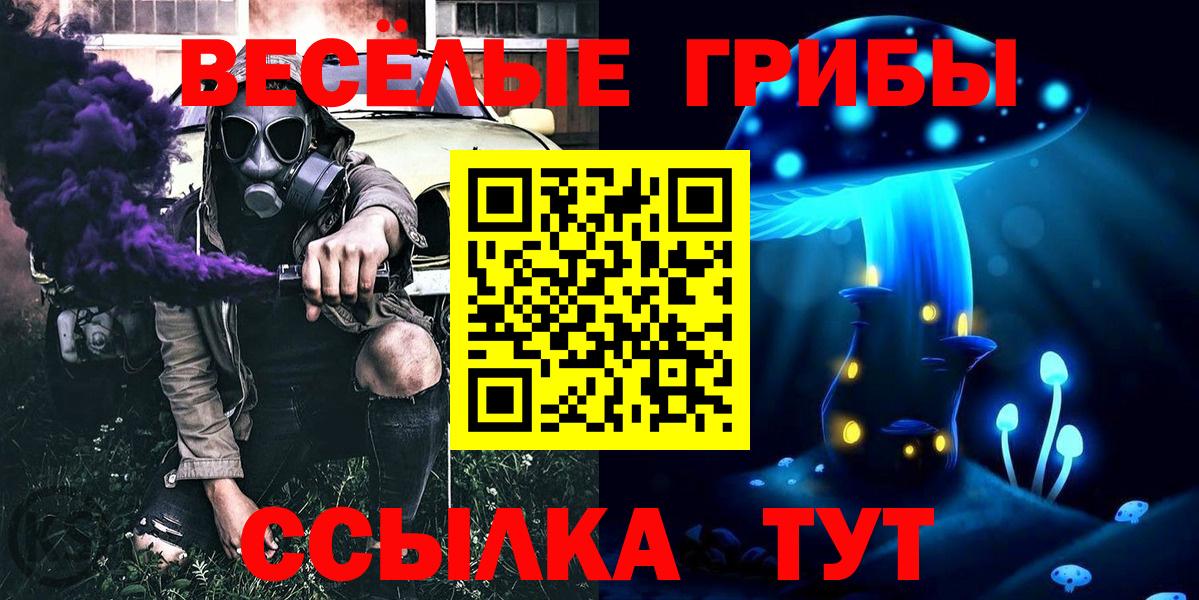 Галлюциногенные грибы Cubensis  Вход с VPN  Старая Купавна 